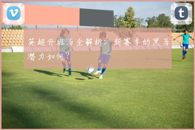 英超升班马全解析:新赛季的黑马潜力如何?