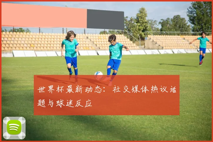 世界杯最新动态：社交媒体热议话题与球迷反应