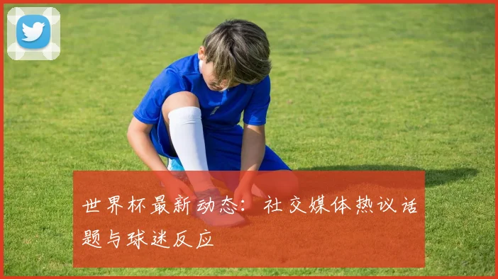 世界杯最新动态:社交媒体热议话题与球迷反应